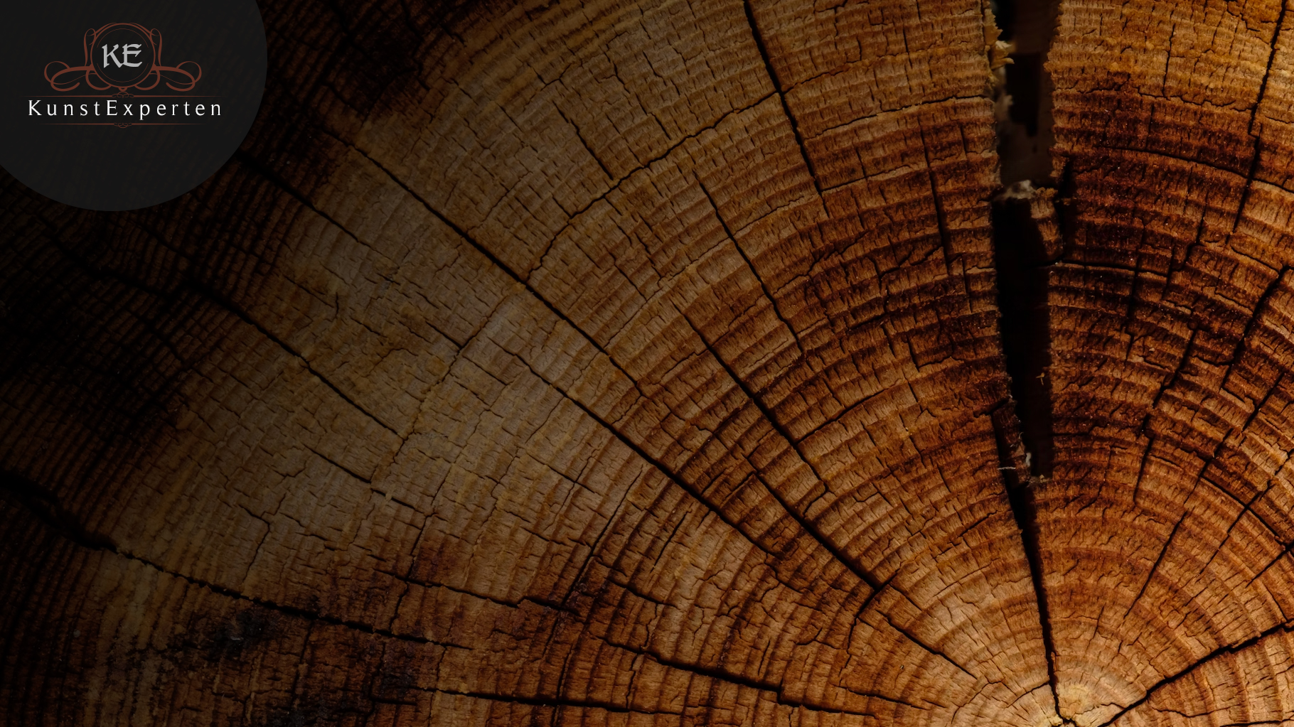 Fachmännische Datierung: Dendrochronologie 